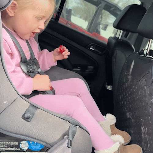 Car Seat Back Protector Black “Hexy” by Owleys (1)